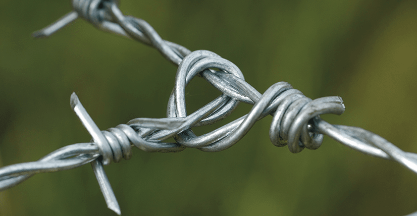 Sentinel Barbed Wire
