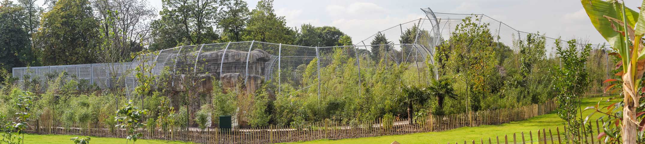 Case Studies - Chester Zoo Fencing Case Study