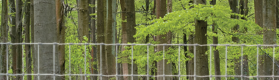 Tree & Pheasant Friendly Wire Fencing