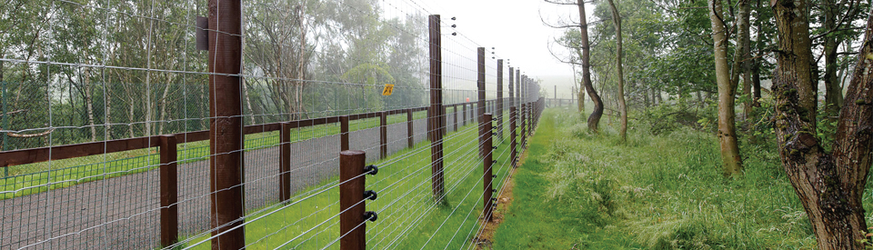 Fencing Solutions for Zoos & Animal Parks