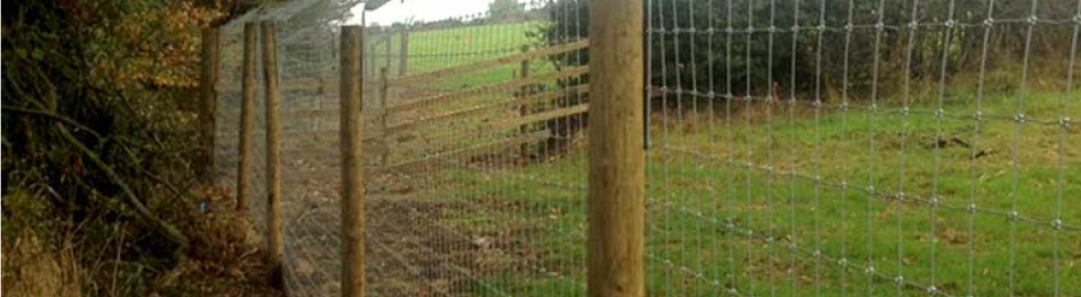 Wire Fencing for Rabbits 